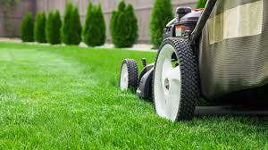 black standing lawn mower with grass bag cutting grass